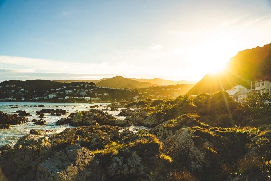 Vacaciones en Wellington, Island Bay