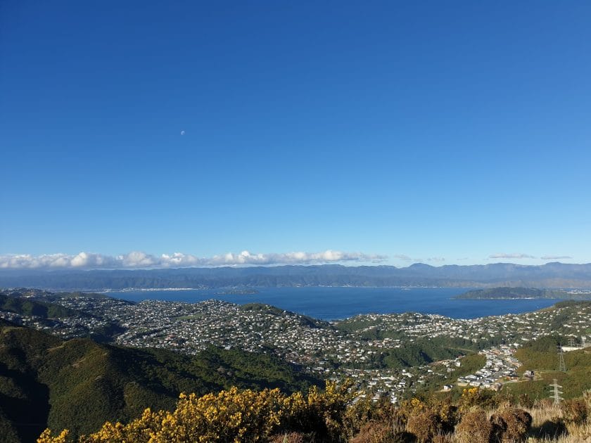 Rutas en Wellington, Senderismo en Skyline Walkaway