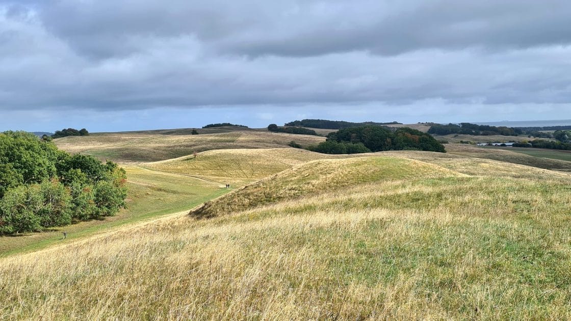 Turismo en la Isla de Rügen, Alemania Senderismo en Zickersche Berge. Foto de Google Maps de My Moments Turismo en la Isla de Rügen, Alemania, Senderismo en Zickersche Berge