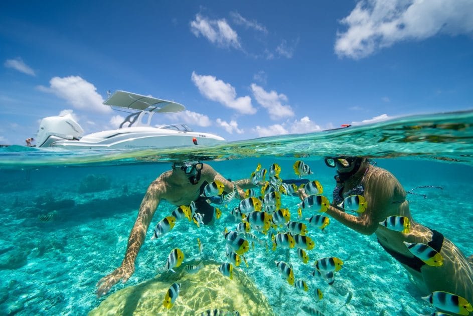 10 deportes acuáticos Snorkel en Bora Bora, Polinesia Francesa. Foto de Google Maps de Reef Discovery Bora Bora 10 deportes acuáticos Snorkel en Bora Bora, Polinesia Francesa.
