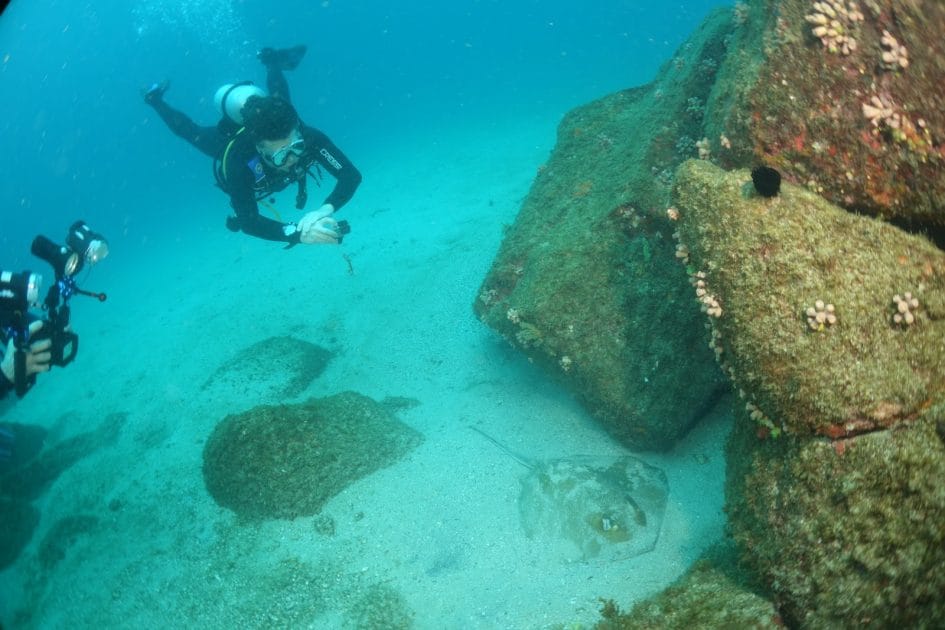 Islas paradisíacas de Brasil Submarinismo en Ilha Jorge Greco. Foto de Google Maps de Alvanir Oliveira Islas paradisíacas de Brasil Submarinismo en Ilha Jorge Greco