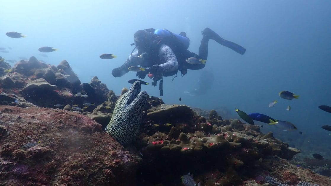 Manama, capital de Baréin Buceo en las aguas del Golfo Pérsico