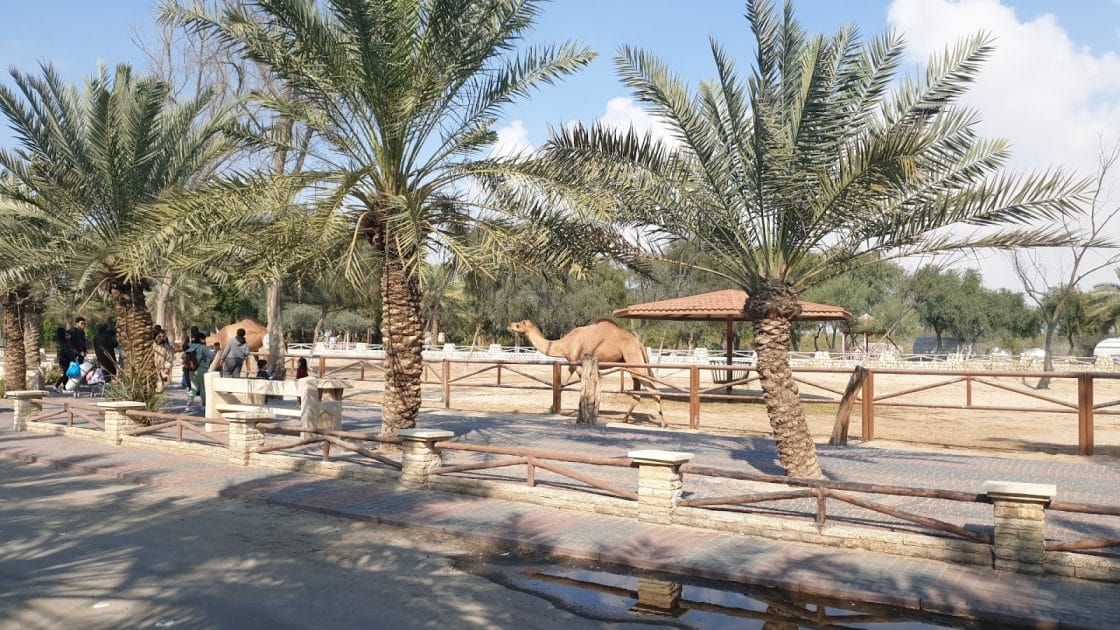 Manama, capital de Baréin Reserva Natural de Al Areen