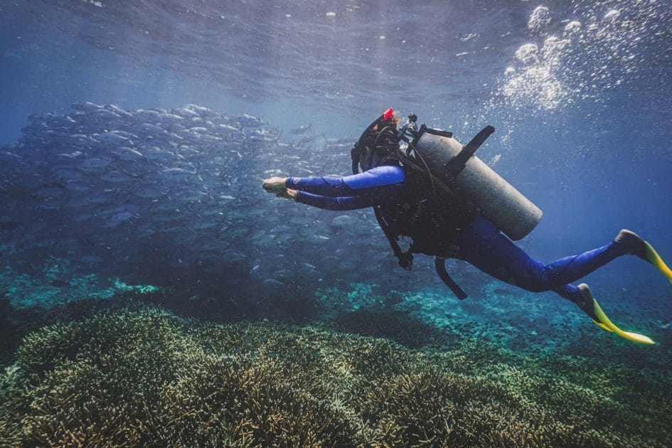 Qué ver en Malasia insular Buceo entre bancos de peces en Sipadan