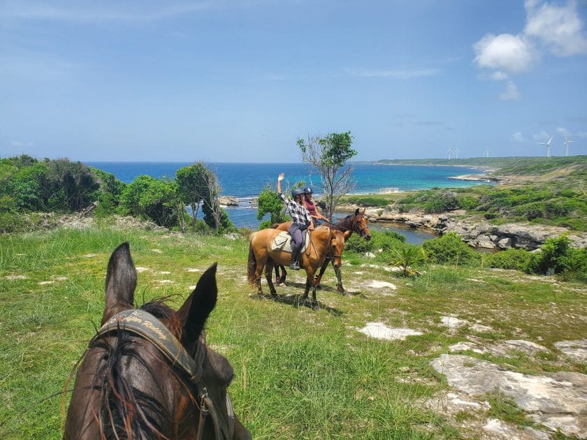 Turismo en isla Guadalupe Paseos a caballo. Foto de Google Maps de Alice Cloiseau Turismo en isla Guadalupe- Paseos a caballo