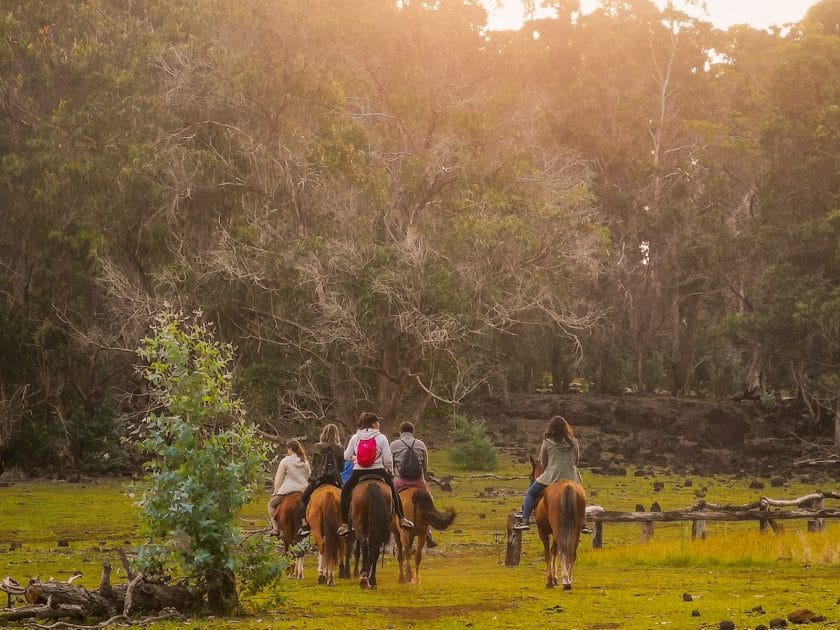 Turismo en la Isla de Pascua, Chile Paseos a caballo. Foto de Google Maps de Adventure Terevaka Turismo en la Isla de Pascua, Chile Paseos a caballo.
