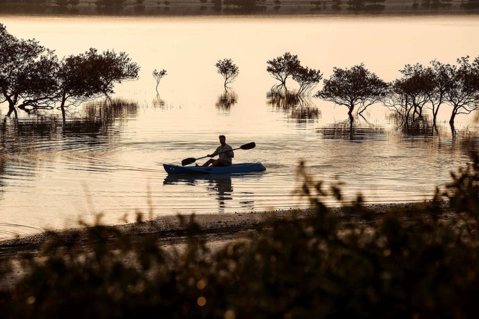 Viaje a Emiratos Árabes Unidos Paseos en kayak por Sir Bani Yas