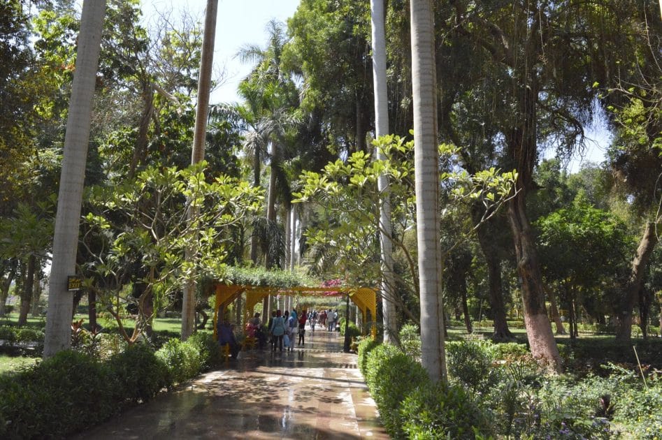 Recorrido por el Nilo Jardín Botánico Kitchener. Foto de Google Maps de Ahmed Mohmed Recorrido por el Nilo Jardín Botánico Kitchener