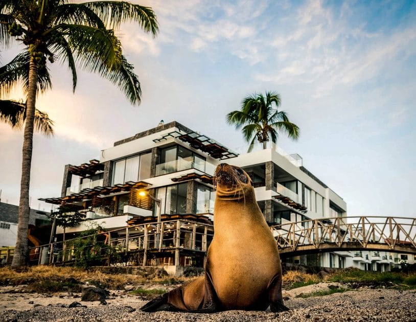 Turismo en Ecuador Hotel Golden Bay en Puerto Baquerizo Moreno. Foto de Google Maps de Golden Bay Galapagos Turismo en Ecuador Hotel Golden Bay en Puerto Baquerizo Moreno