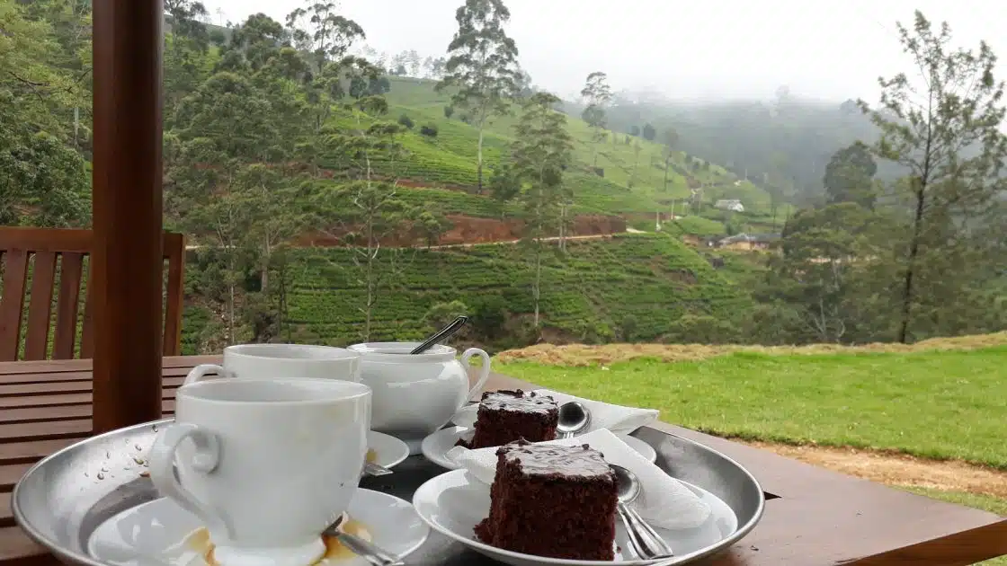 Turismo en Sri Lanka Degustación de té en una plantación de Nuwar Eliya