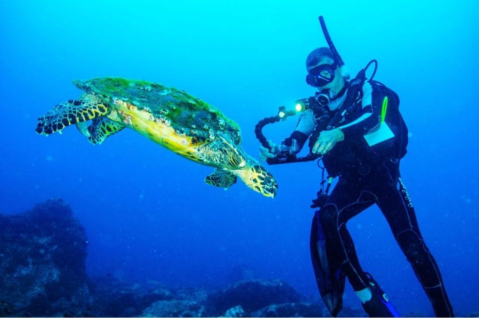 Viajar a Santo Tomé y Príncipe Buceo entre tortugas. De António D Abreu Trabajo propio, CC BY SA 4.0 Viajar a Santo Tomé y Príncipe Buceo entre tortugas
