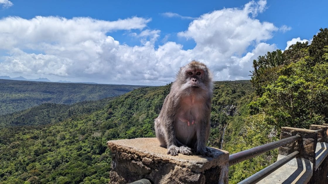 Viaje a Isla Mauricio Vistas desde el Mirador Gorges. Foto de Google Maps de Adam Gralki Viaje a Isla Mauricio Vistas desde el Mirador Gorges