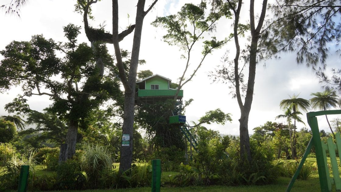 Viaje a Vanuatu Alojamiento sobre árbol en Tanna