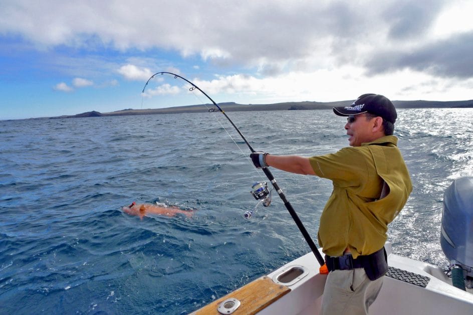 Viaje a las Islas Galápagos Pesca vivencial Viaje a las Islas Galápagos Pesca vivencial