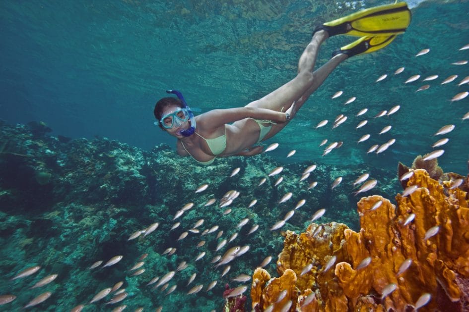 Isla de Granada en el Caribe Snorquel en el Caribe. Foto de Google Maps de Snorkel in Grenada Isla de Granada en el Caribe Snorquel en el Caribe