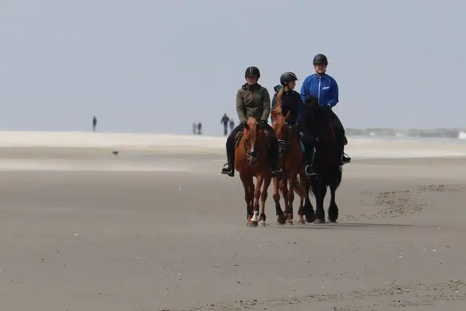 Qué ver en las Islas Frisias Excursiones a caballo