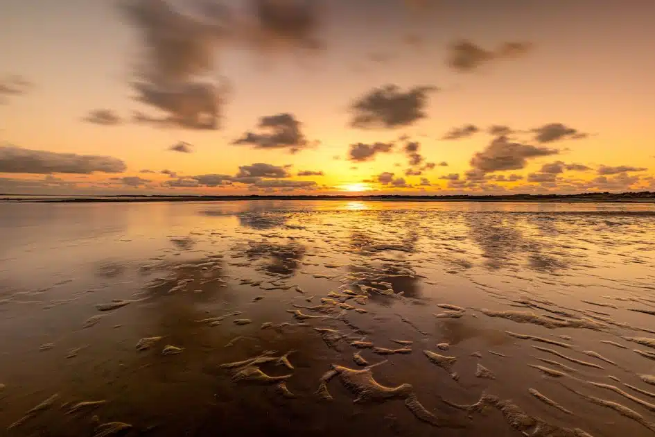 Qué ver en las Islas Frisias Mar de Frisia