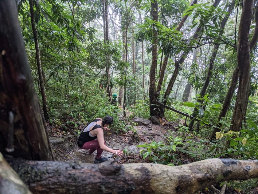 Turismo en Santa Lucía, Caribe Subida a los Pitons