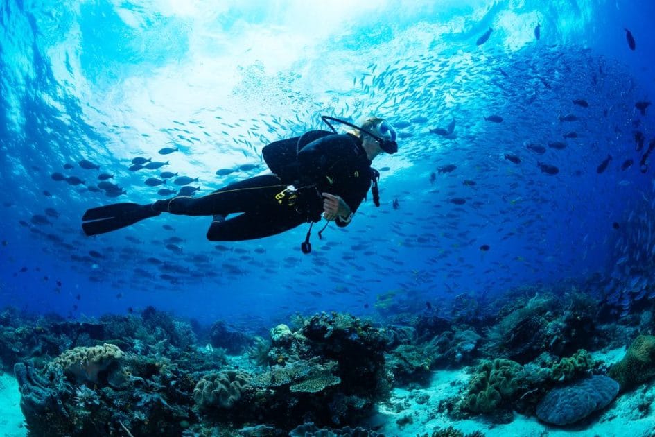 Turismo en Vietnam Buceo en Phu Quoc. Foto de Google Maps de PHU QUOC DIVING CLUB SSI DIVE CENTER Turismo en Vietnam Buceo en Phu Quoc
