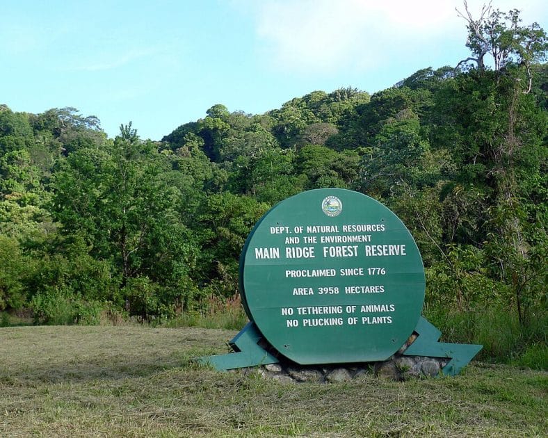 Viajes a Trinidad y Tobago Main Ridge Forest Reserve