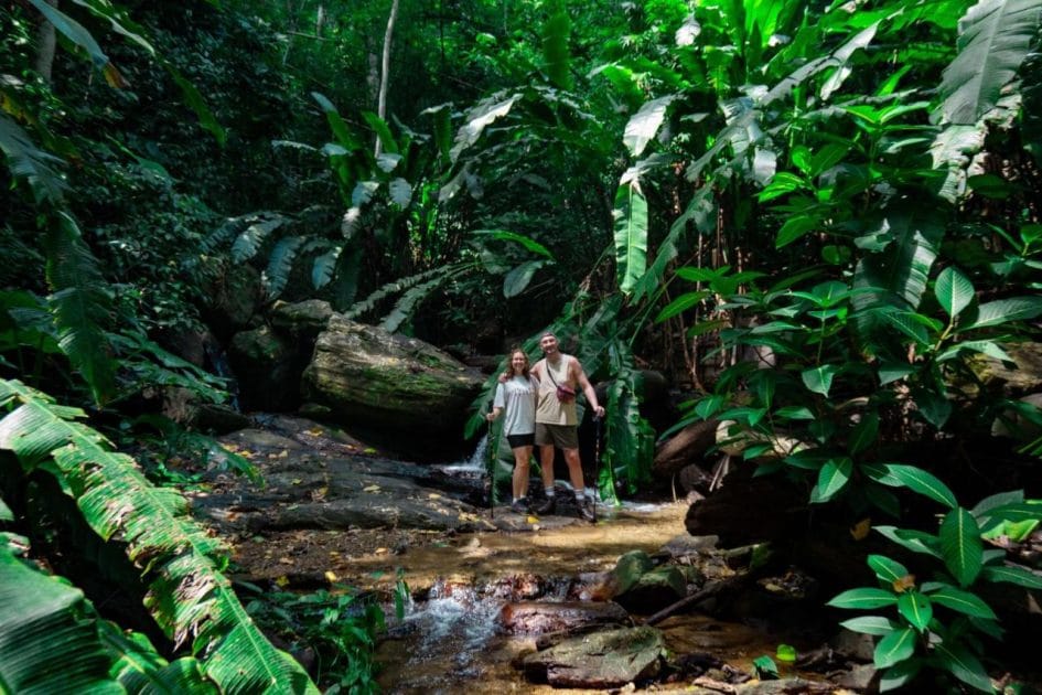 Viajes a Trinidad y Tobago Senderismo en Asa Wright