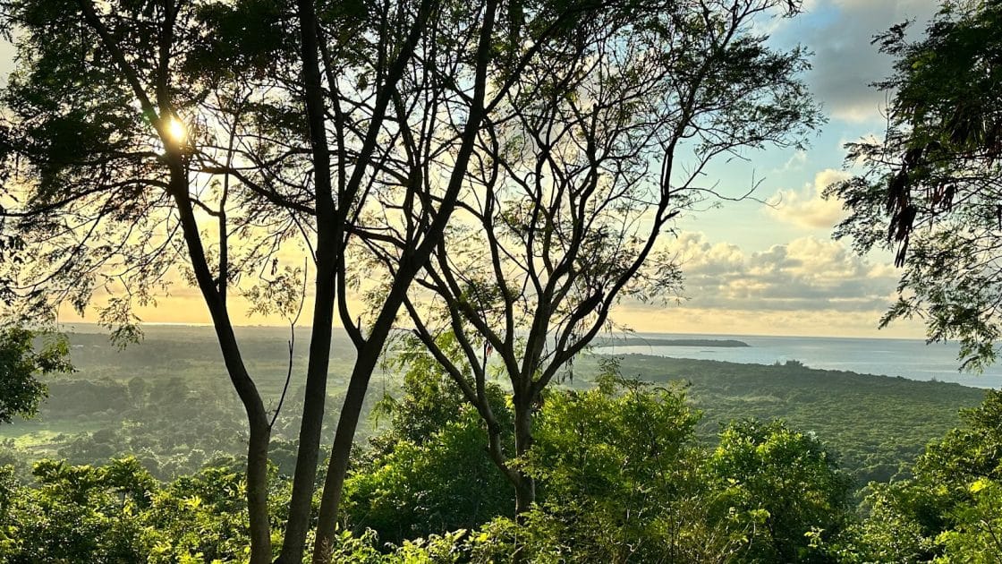 Viajes a las Islas de la Bahía de Honduras Vistas desde Pumpkin Hill
