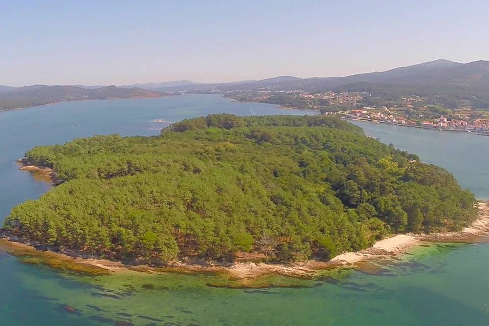 Islas de Galicia para visitar Isla de Cortegada Islas de Galicia para visitar Isla de Cortegada