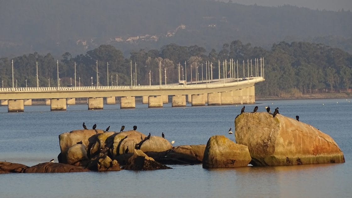 Islas de Galicia para visitar Purnte de Arousa. Foto de Google Maps de Pablo Tubío Vázquez Islas de Galicia para visitar Puente de Arousa