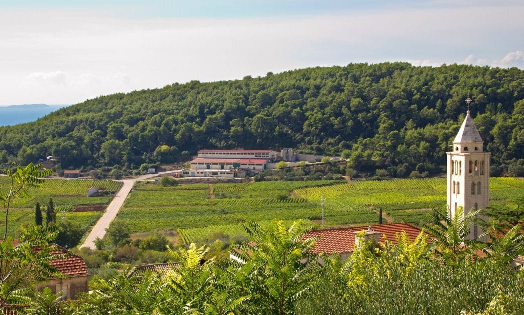Turismo en Croacia Viñedos de las bodegas Pošip 'PZ' Čara. Foto de Google Maps de Pošip 'PZ' Čara Turismo en Croacia Viñedos de las bodegas Pošip 'PZ' Čara