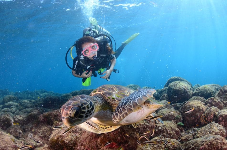 Actividades en Fernando de Noronha Buceo con tortugas