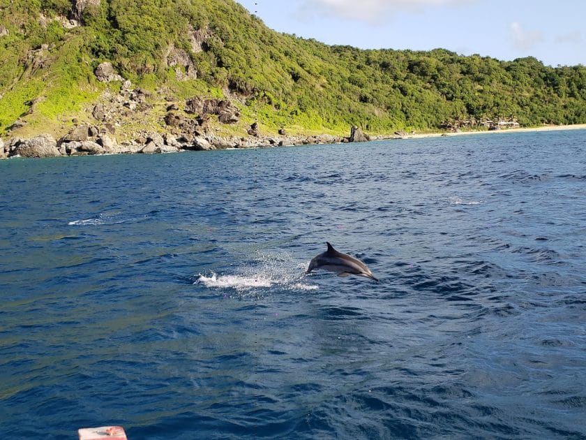 Actividades en Fernando de Noronha Observación de delfines en Baia do Golfinhos