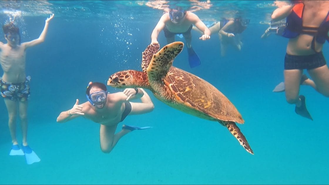 Actividades en Fernando de Noronha Snorkel en familia