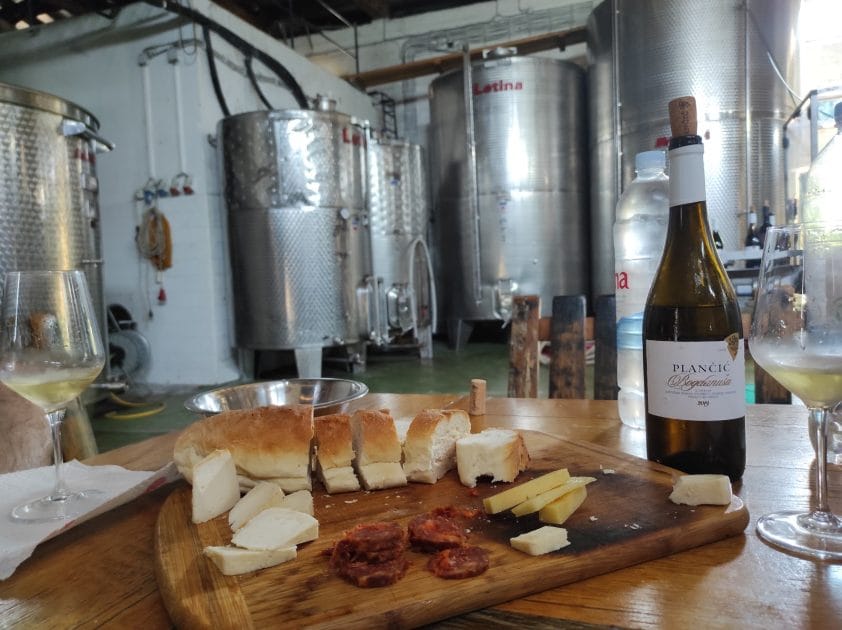 Qué ver en Hvar, Croacia Visita y degustación en Bodega Plancic