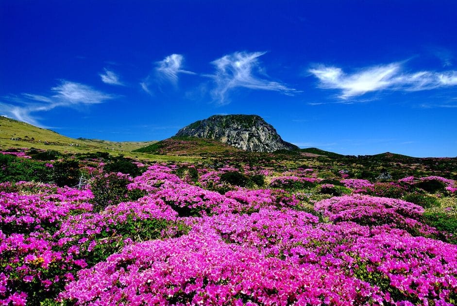 Turismo en la isla de Jeju, Corea del Sur Monte Hallasan
