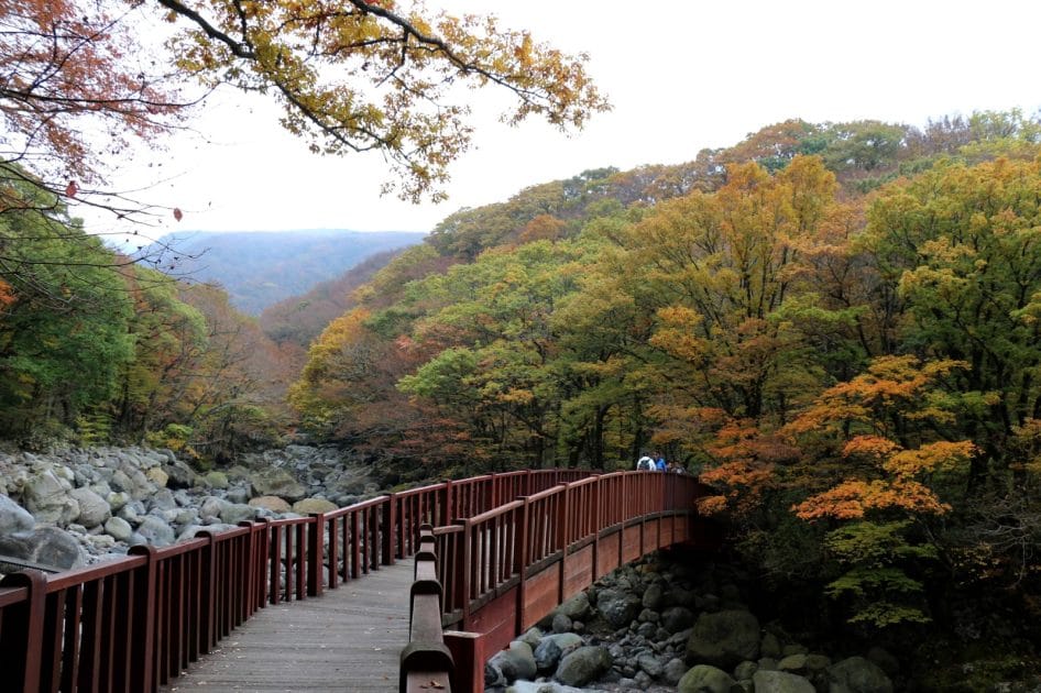 Turismo en la isla de Jeju, Corea del Sur Sendero Eorimok