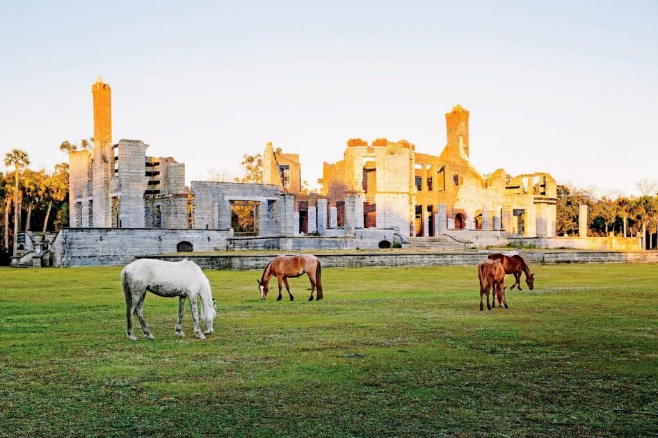 Mejores islas de Estados Unidos Caballos salvajes en Dungeness Ruins