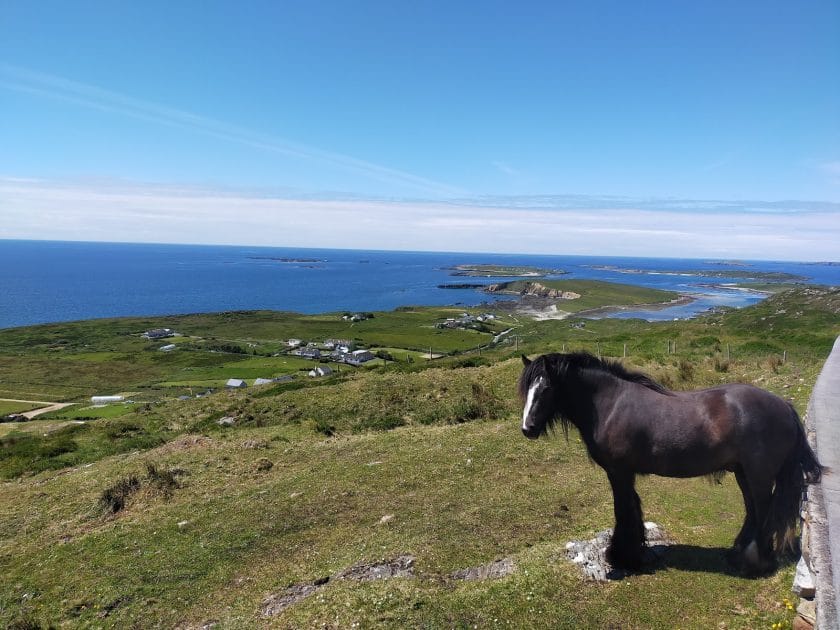 Viaje por Irlanda en 7 días Vistas desde la Sky Road. Foto de Google Maps de Stefano Longhi Viaje por Irlanda en 7 días Vistas desde la Sky Road