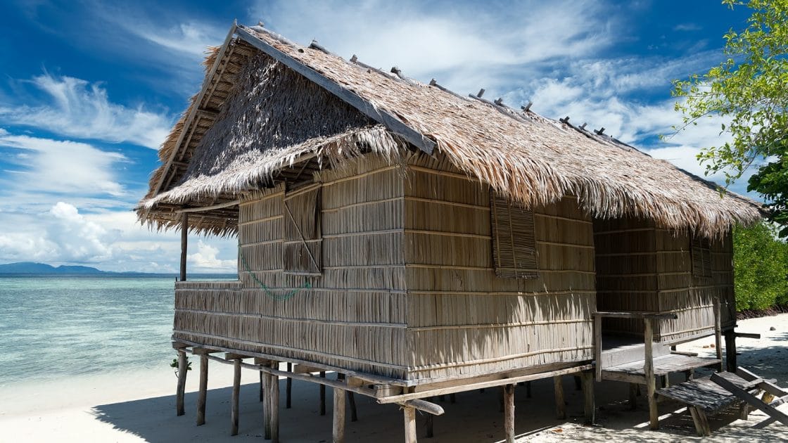 Qué ver en Indonesia, Asia Arborek Homestay