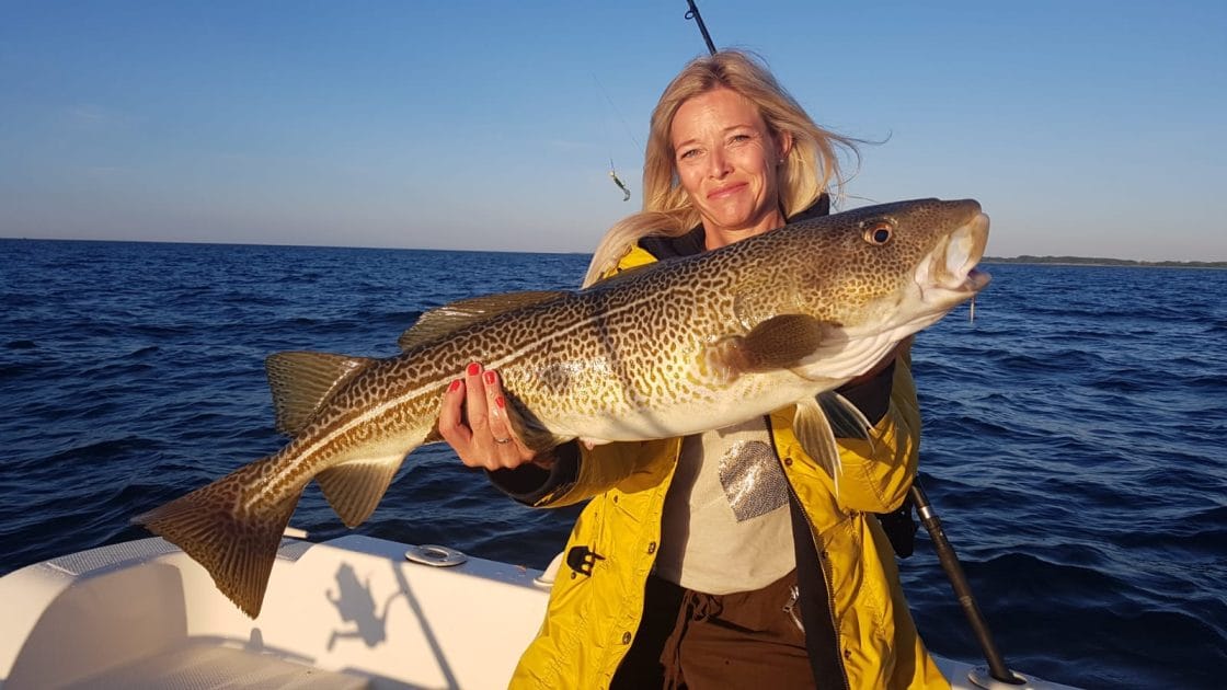 Viajar a Dinamarca Excursiones de pesca