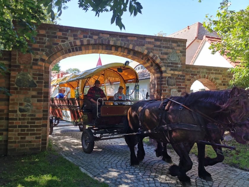 Viaje a Alemania Excursiones en carruajes en Hiddensee