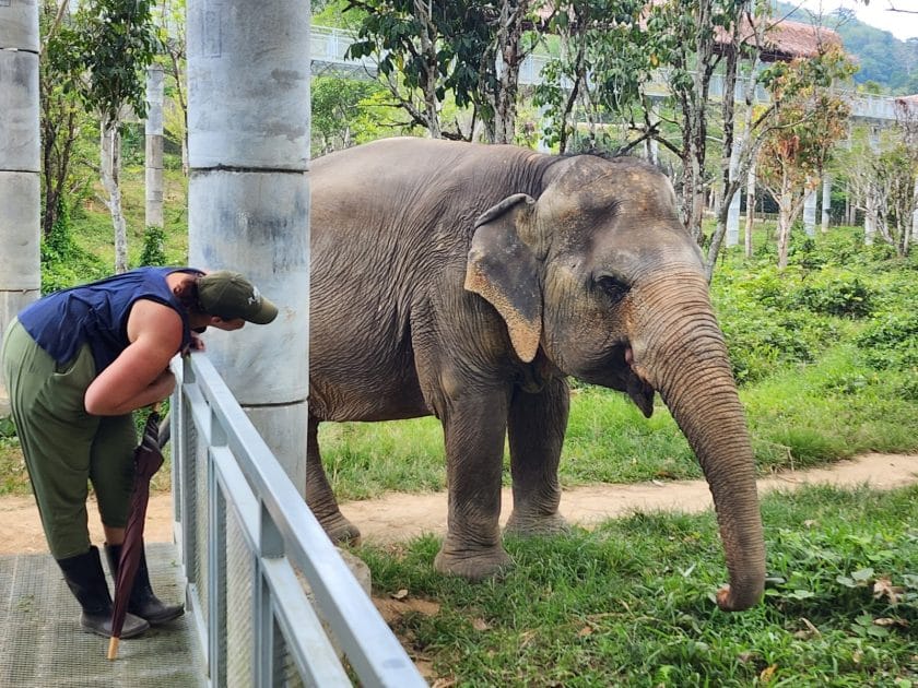 Viaje a Phuket, Tailandia Phuket Elephant Sanctuary
