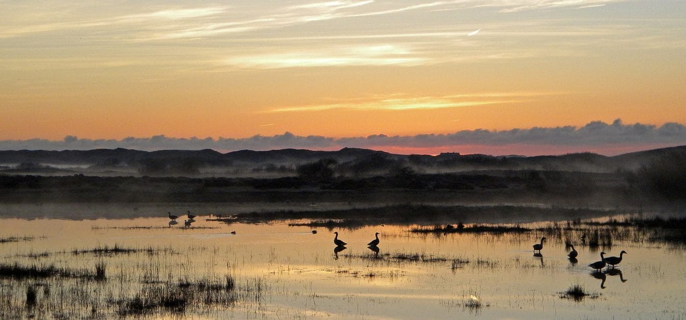 Isla de Texel, Holanda De Nederlanden. By Alex76 Own work, CC BY SA 3.0 nl Isla de Texel, Holanda De Nederlanden