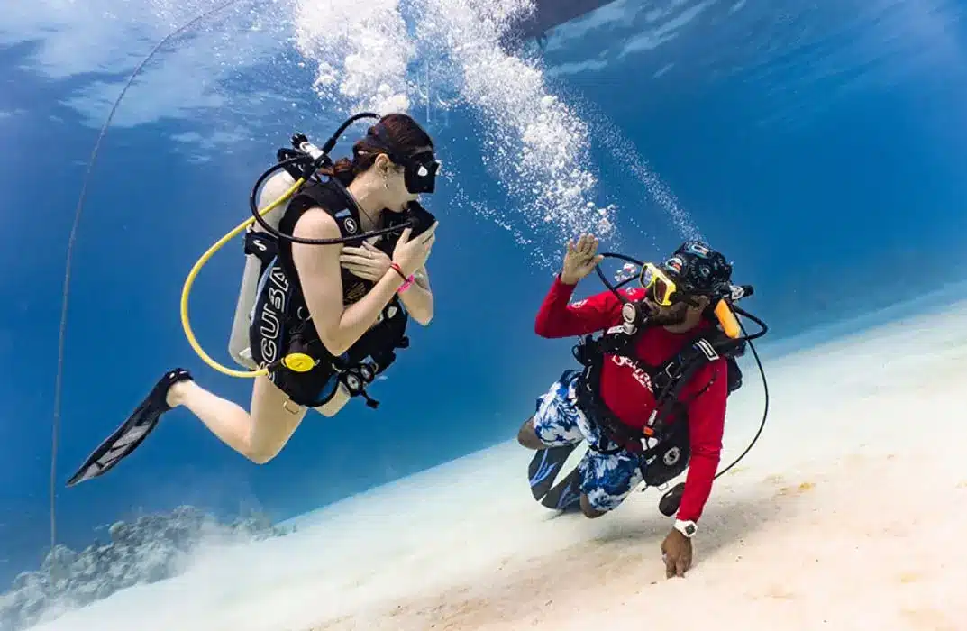 Mejores hoteles en Roatán, Honduras Experiencia de buceo Mejores hoteles en Roatán, Honduras Experiencia de buceo