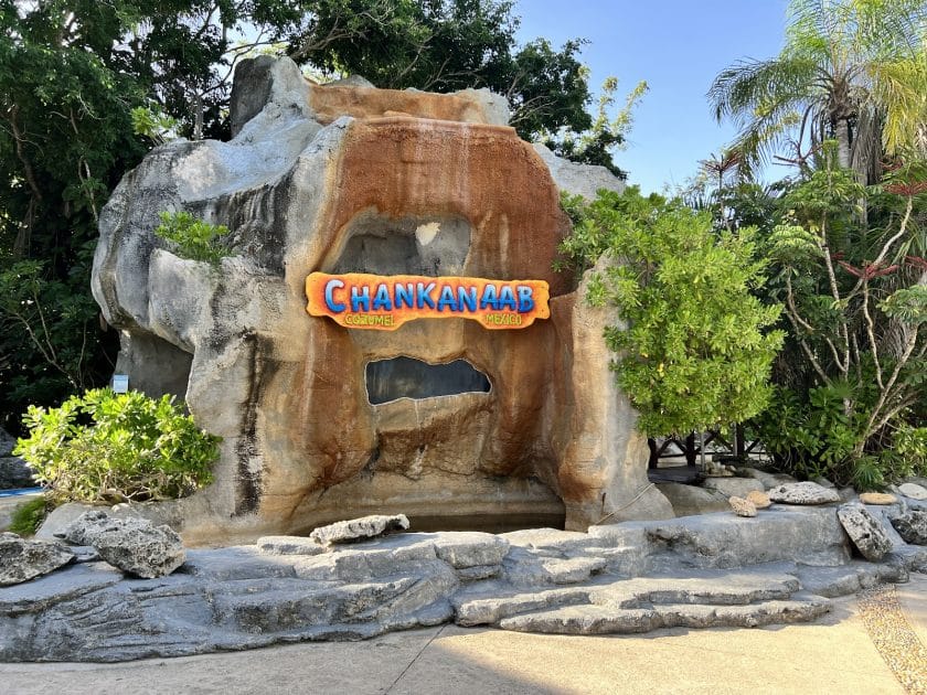 Qué hacer en Cozumel al bajar del crucero Parque Chankanaab