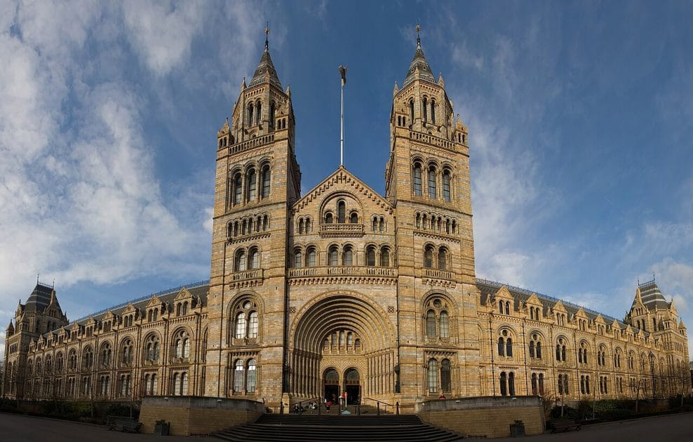 Viajar a Londres con niños Museo de Historia Natural. By Diliff, CC BY SA 3.0 Viajar a Londres con niños Museo de Historia Natural