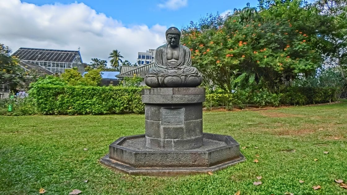 Atracciones en Honolulu, Hawái Jardín Botánico Foster. Foto de Google Maps de Yasunori Minamihara Atracciones en Honolulu, Hawái Jardín Botánico Foster