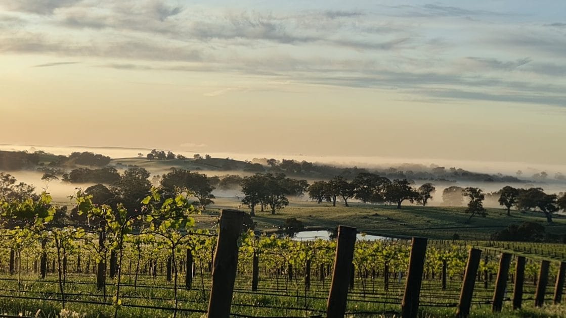 Itinerario de viaje por Australia en 20 días Barossa Valley