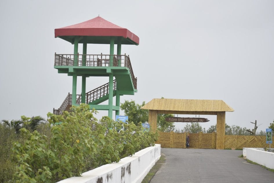 Turismo en isla Diu, India Fudam Bird Sanctuary