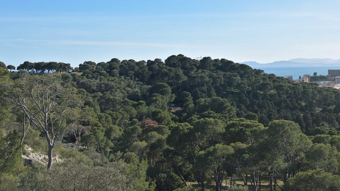 Parco di Monte Urpinu