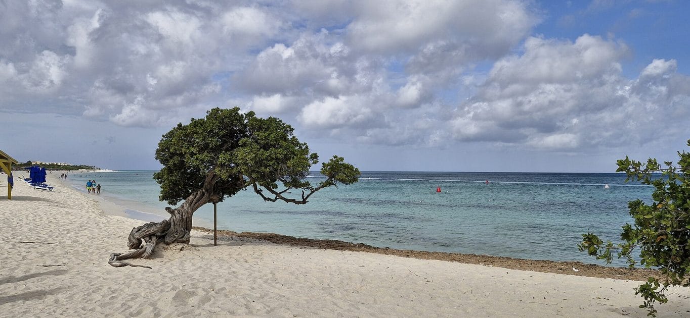 Eagle Beach crucero Aruba Bonaire Curazao desde Cartagena. Eagle Beach